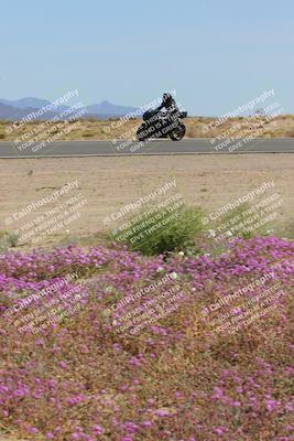 media/Mar-12-2023-SoCal Trackdays (Sun) [[d4c8249724]]/Turn 15 Inside Bloom (130pm)/